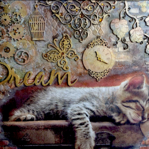 dream cat